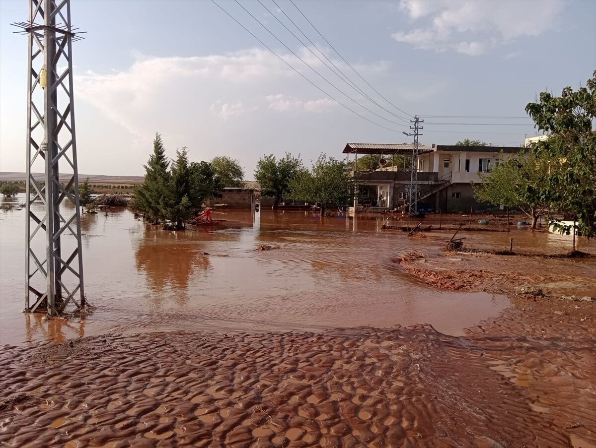 A A 20250717 38589562 38589558 K I L I S T E S A G A N A K E T K I L I O L D U