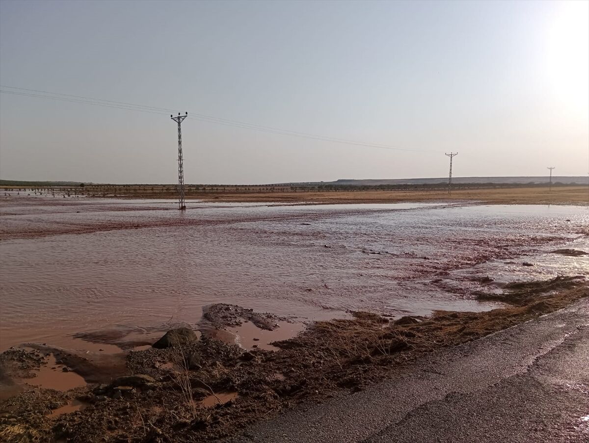 A A 20250717 38589562 38589559 K I L I S T E S A G A N A K E T K I L I O L D U