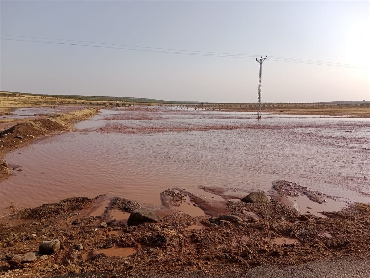 A A 20250717 38589562 38589560 K I L I S T E S A G A N A K E T K I L I O L D U