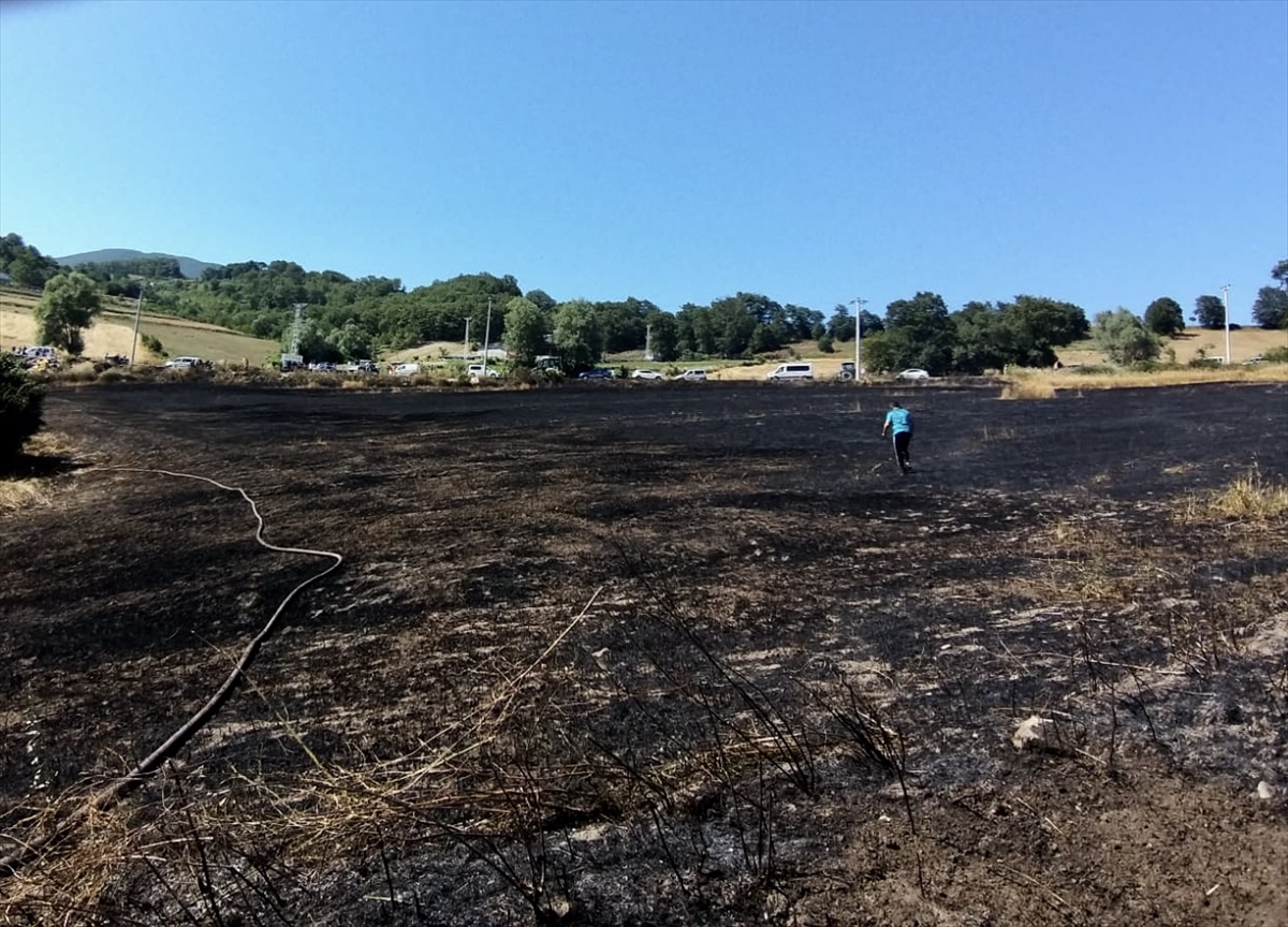 A A 20250717 38589782 38589779 S A M S U N D A T A R I M A R A Z I S I N D E C I K A N Y A N G I N D A 16 D O N U M A L A N Z A R A R G O R D U