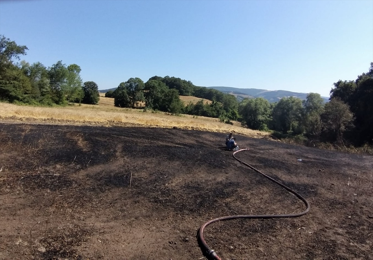 A A 20250717 38589782 38589780 S A M S U N D A T A R I M A R A Z I S I N D E C I K A N Y A N G I N D A 16 D O N U M A L A N Z A R A R G O R D U