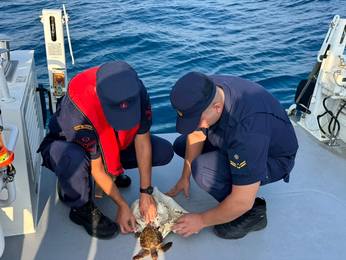 A A 20250717 38590717 38590710 A N T A L Y A D A C U V A L A T A K I L A N D E N I Z K A P L U M B A G A S I N I S A H I L G U V E N L I K K U R T A R D I