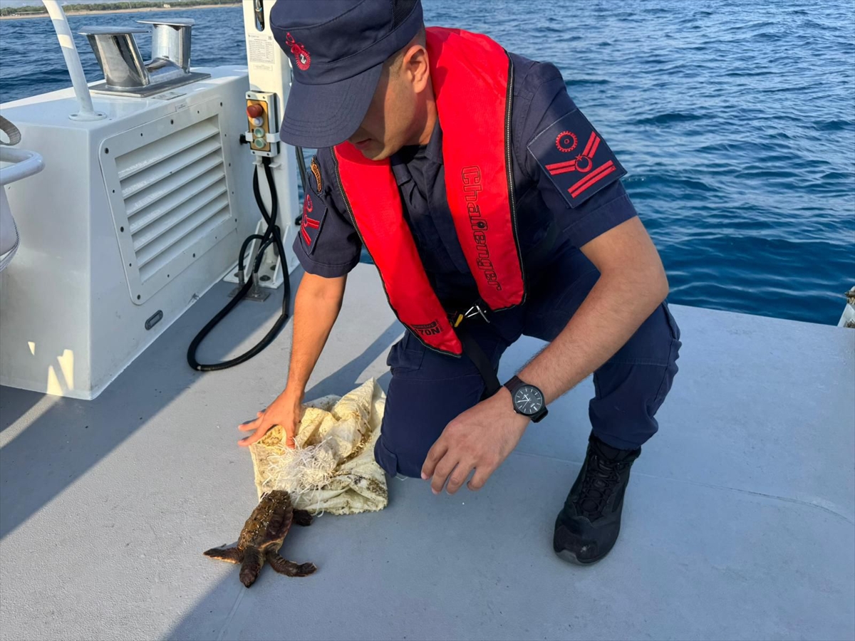 A A 20250717 38590717 38590711 A N T A L Y A D A C U V A L A T A K I L A N D E N I Z K A P L U M B A G A S I N I S A H I L G U V E N L I K K U R T A R D I