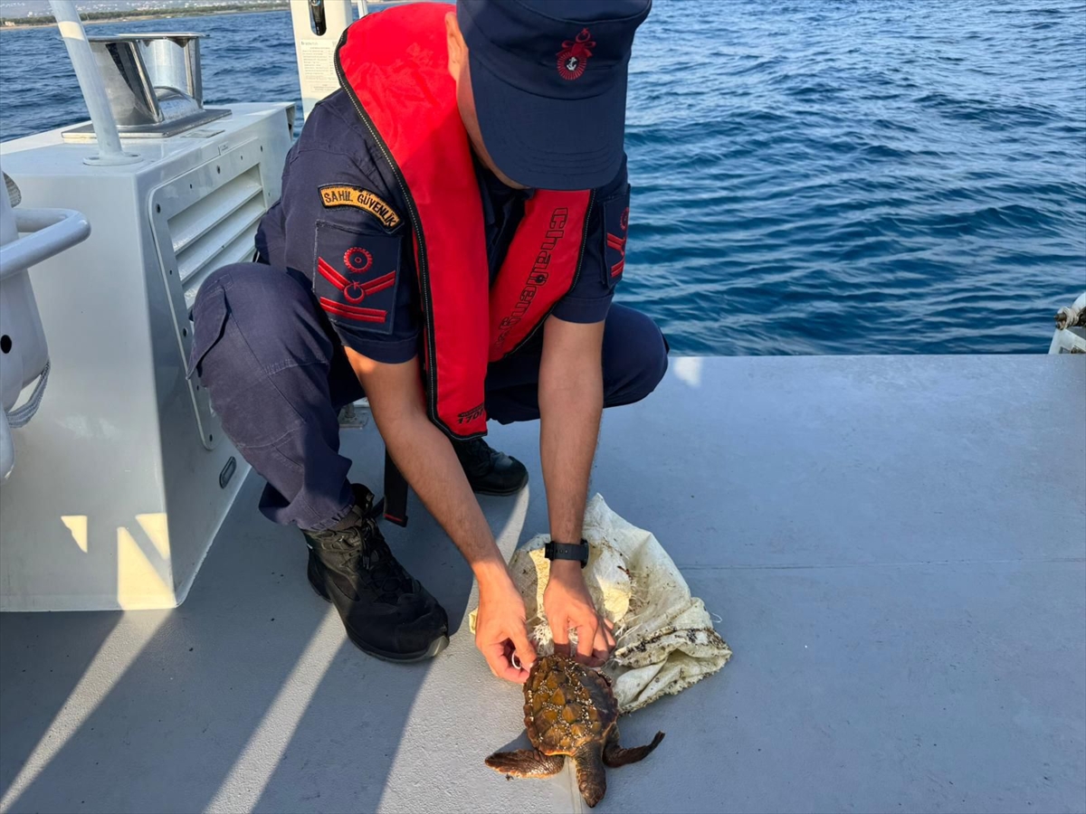 A A 20250717 38590717 38590712 A N T A L Y A D A C U V A L A T A K I L A N D E N I Z K A P L U M B A G A S I N I S A H I L G U V E N L I K K U R T A R D I