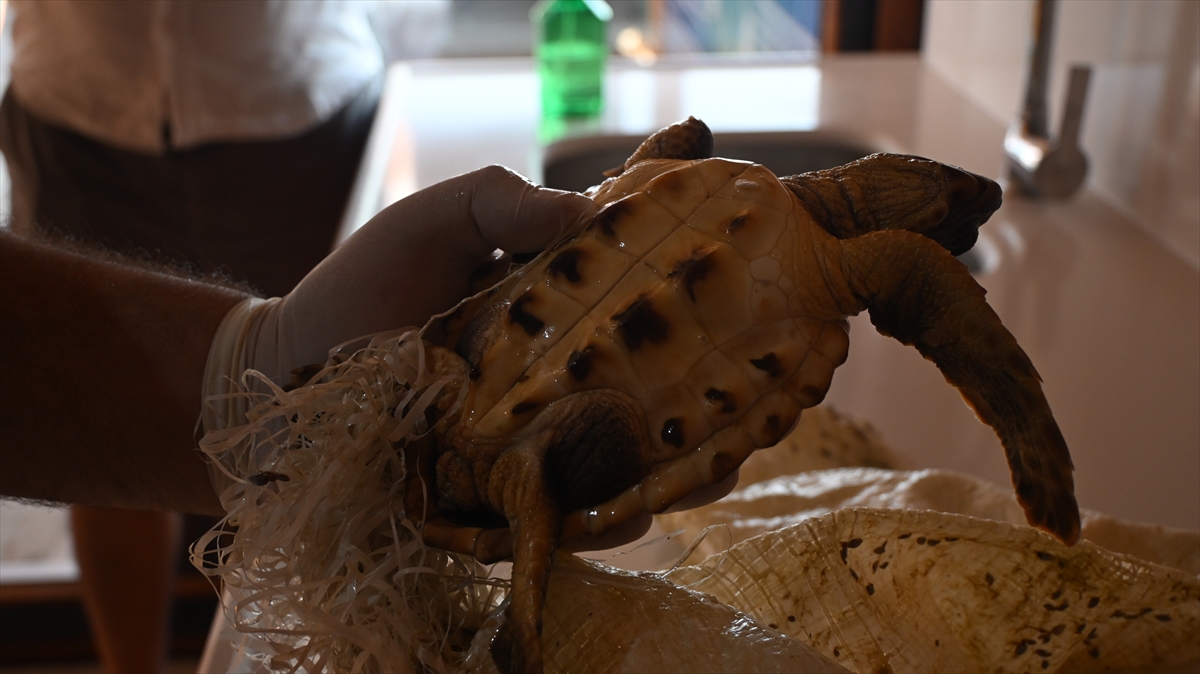 A A 20250717 38590717 38590713 A N T A L Y A D A C U V A L A T A K I L A N D E N I Z K A P L U M B A G A S I N I S A H I L G U V E N L I K K U R T A R D I