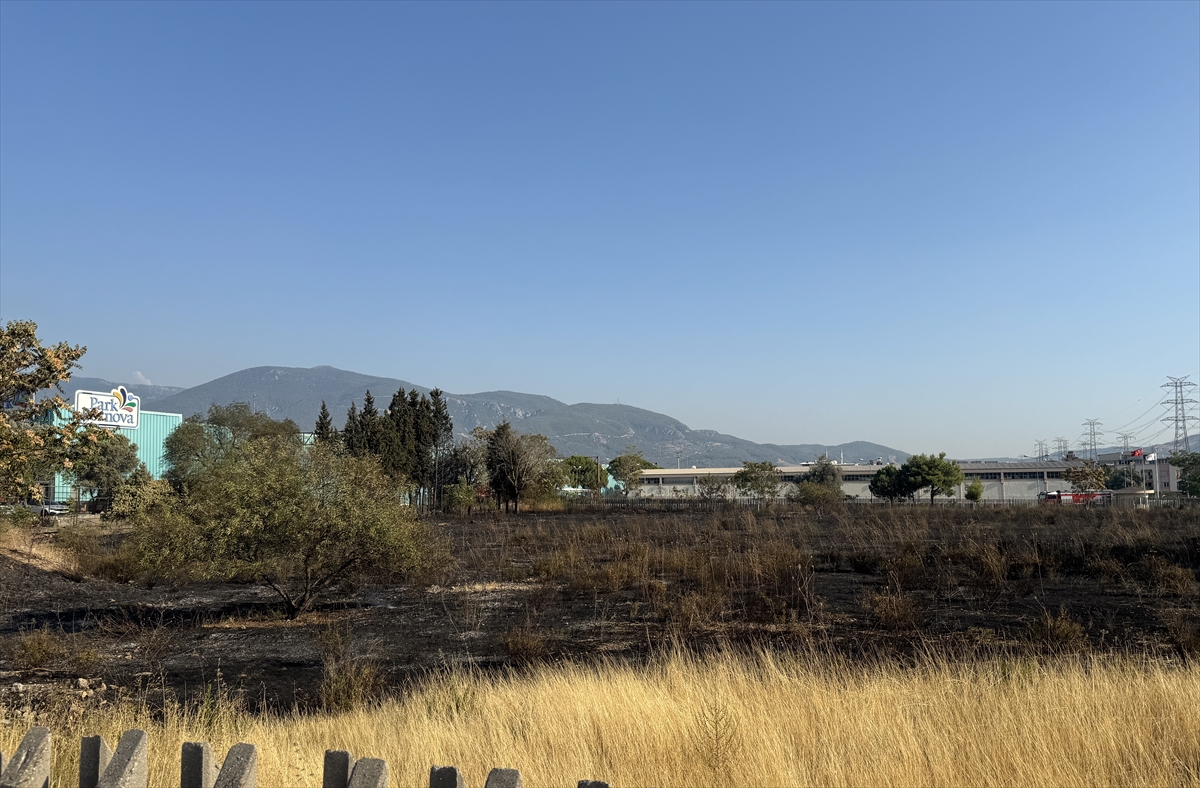 A A 20250719 38605173 38605170 I Z M I R D E O T L U K A L A N D A C I K A N Y A N G I N K O N T R O L A L T I N A A L I N D I