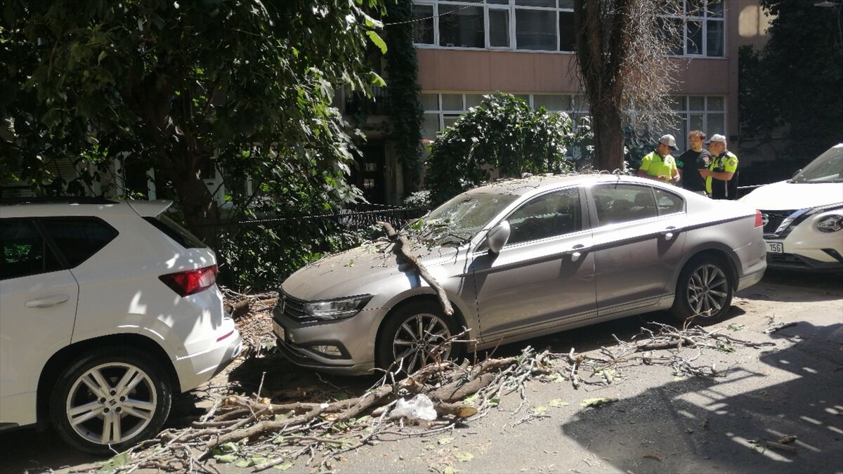 A A 20250720 38611049 38611047 S I S L I D E A G A C T A N K O P A N D A L L A R P A R K H A L I N D E K I O T O M O B I L E Z A R A R V E R D I