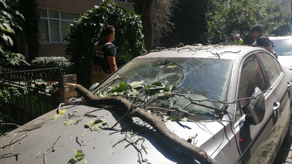 A A 20250720 38611049 38611048 S I S L I D E A G A C T A N K O P A N D A L L A R P A R K H A L I N D E K I O T O M O B I L E Z A R A R V E R D I