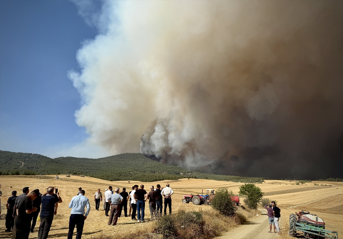 A A 20250721 38620585 38620581 S A K A R Y A D A O R M A N L I K A L A N D A C I K A N Y A N G I N B I L E C I K T A R A F I N A S I C R A D I