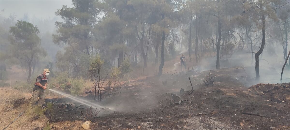 A A 20250723 38640277 38640273 S A K A R Y A D A N B I L E C I K T A R A F I N A S I C R A Y A N O R M A N Y A N G I N I N A 3 G U N U N D E M U D A H A L E S U R U Y O R