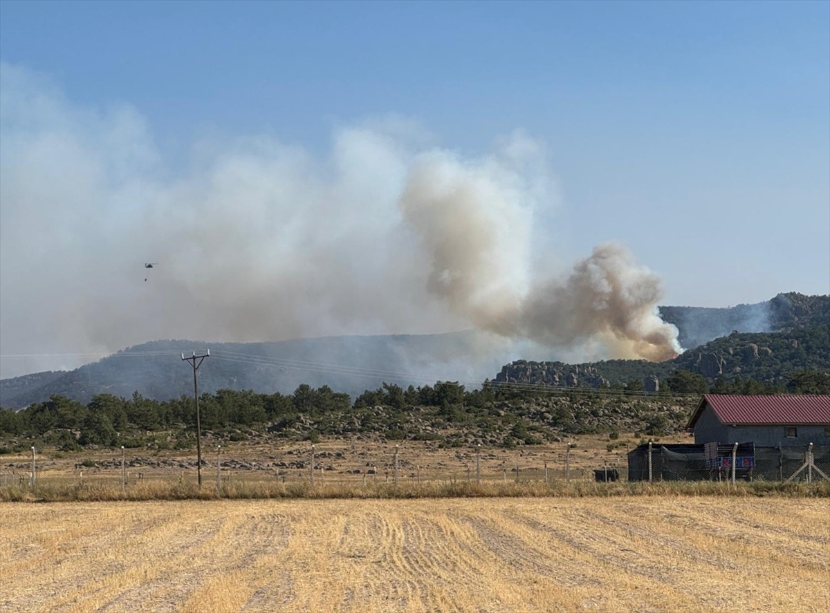 A A 20250724 38646073 38646070 A F Y O N K A R A H I S A R A S I C R A Y A N O R M A N Y A N G I N I N A H A V A D A N V E K A R A D A N M U D A H A L E S U R U Y O R