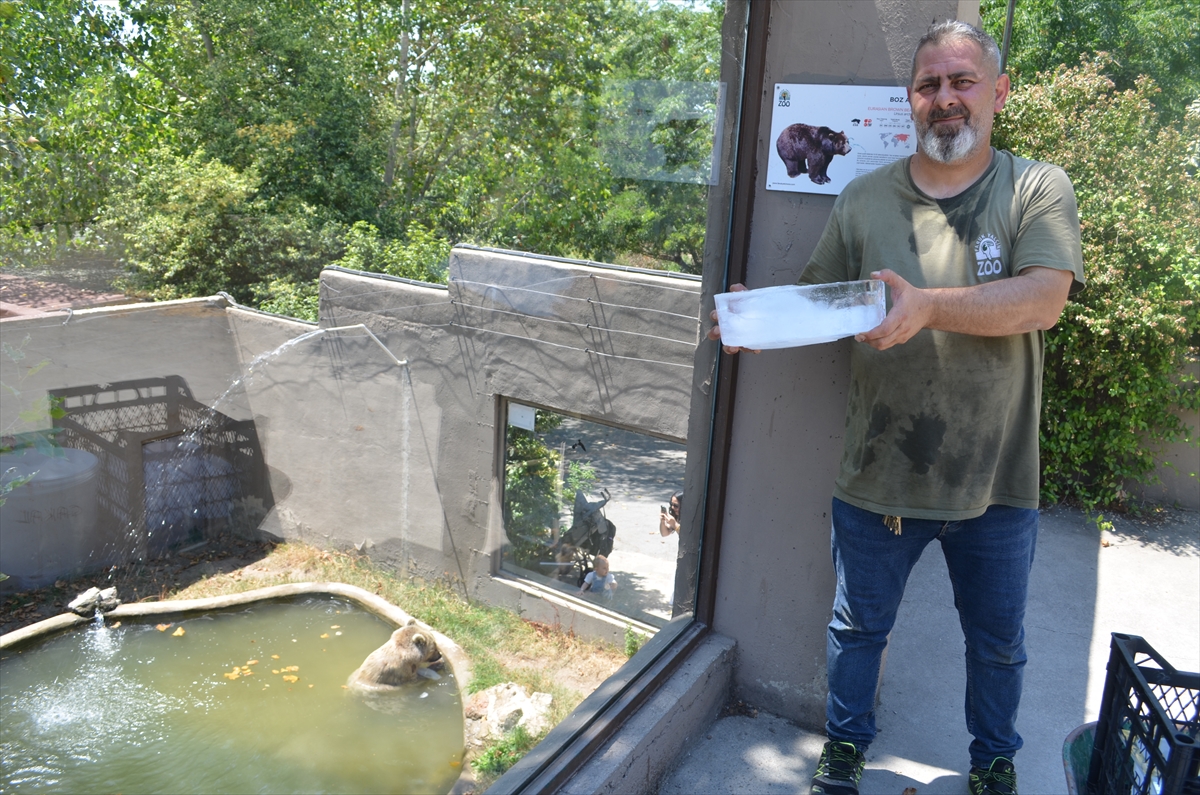 A A 20250724 38648862 38648858 K O C A E L I D E H A Y V A N A T B A H C E S I S A K I N L E R I B U Z K A L I P L A R I Y L A S E R I N L E T I L I Y O R