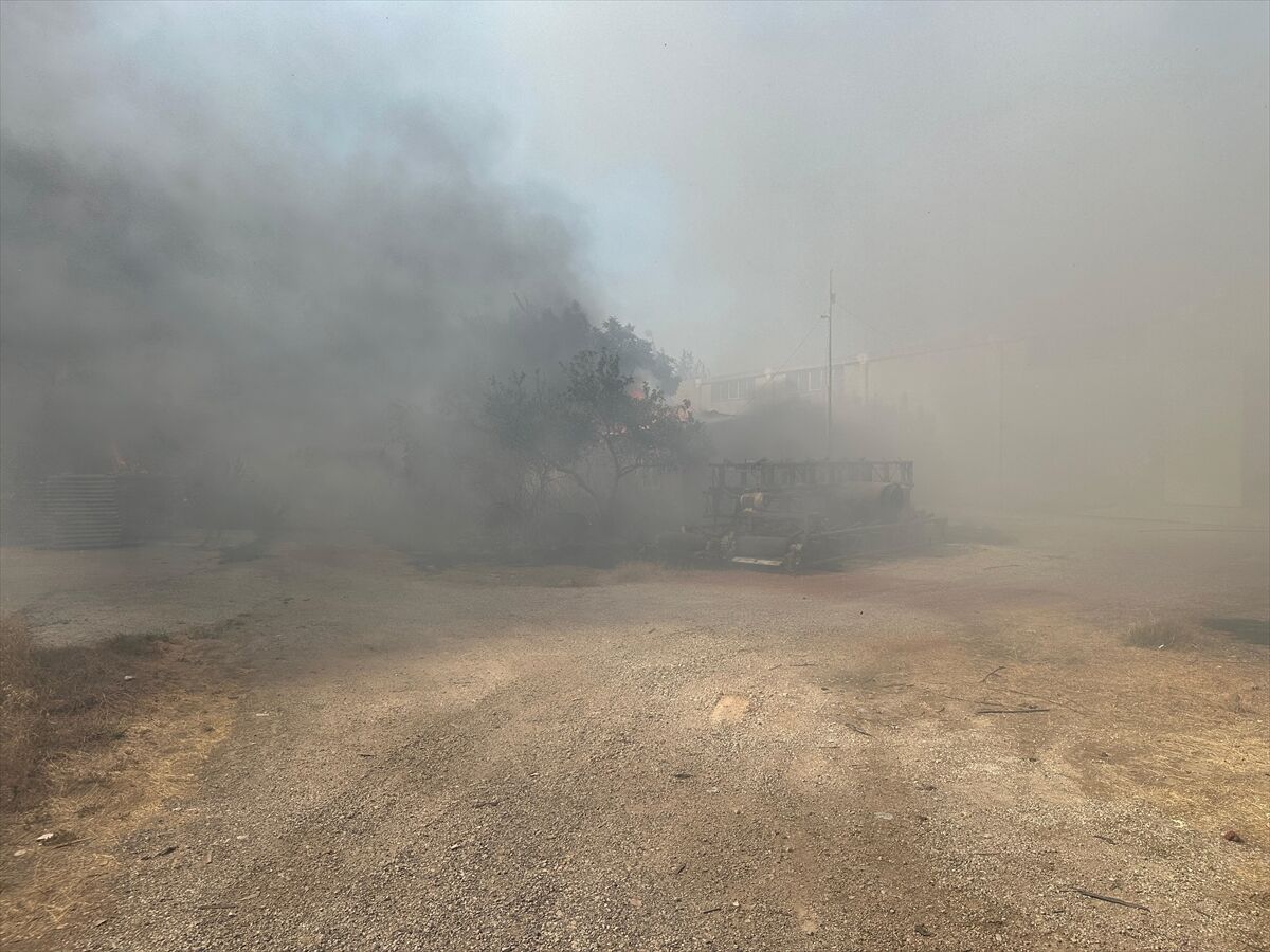 A A 20250725 38662008 38661989 A N T A L Y A D A O T L U K A L A N D A C I K A N V E I S Y E R L E R I N E S I C R A Y A N Y A N G I N A M U D A H A L E E D I L I Y O R