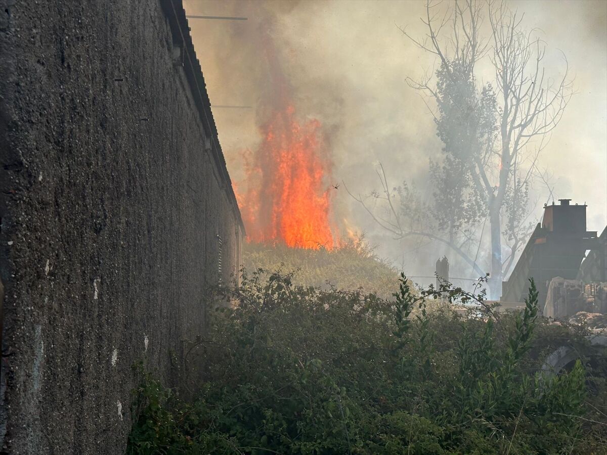 A A 20250725 38662008 38661995 A N T A L Y A D A O T L U K A L A N D A C I K A N V E I S Y E R L E R I N E S I C R A Y A N Y A N G I N A M U D A H A L E E D I L I Y O R