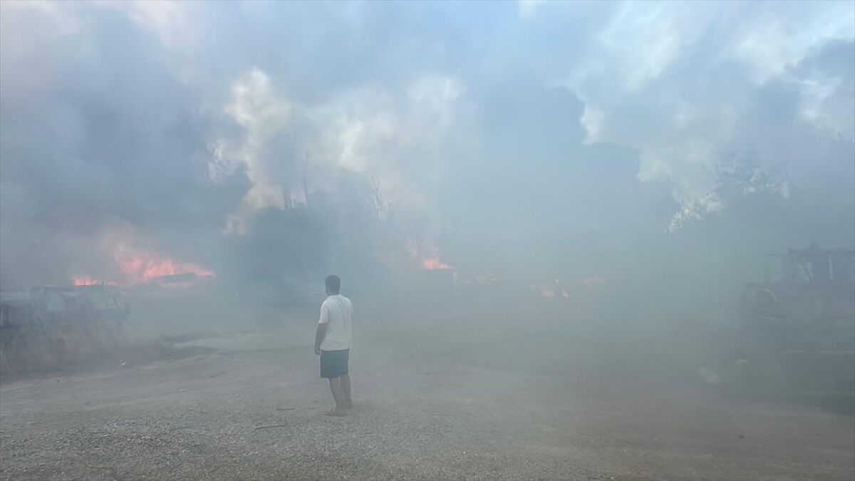 A A 20250725 38662008 38662000 A N T A L Y A D A O T L U K A L A N D A C I K A N V E I S Y E R L E R I N E S I C R A Y A N Y A N G I N A M U D A H A L E E D I L I Y O R