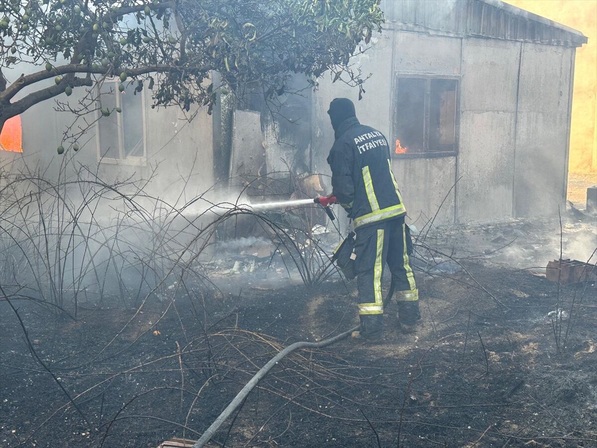 A A 20250725 38662008 38662005 A N T A L Y A D A O T L U K A L A N D A C I K A N V E I S Y E R L E R I N E S I C R A Y A N Y A N G I N A M U D A H A L E E D I L I Y O R