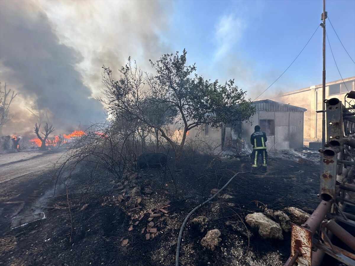 A A 20250725 38662008 38662007 A N T A L Y A D A O T L U K A L A N D A C I K A N V E I S Y E R L E R I N E S I C R A Y A N Y A N G I N A M U D A H A L E E D I L I Y O R