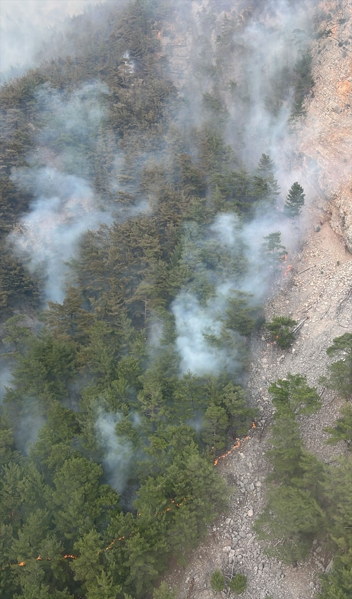 A A 20250725 38663927 38663925 A D A N A D A O R M A N L I K A L A N D A Y A N G I N C I K T I