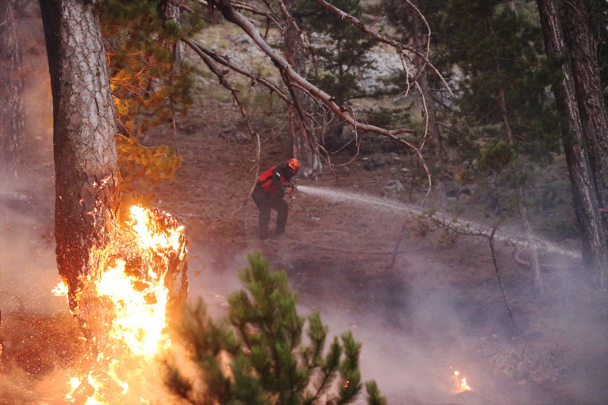 A A 20250725 38664863 38664856 A N T A L Y A D A 5 I L C E D E K I O R M A N Y A N G I N L A R I N I N 2 S I N E M U D A H A L E S U R U Y O R