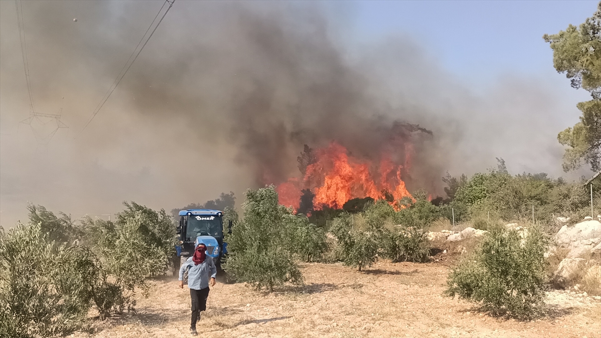 A A 20250726 38665699 38665696 M E R S I N I N S I L I F K E I L C E S I N D E C I K A N O R M A N Y A N G I N I N A M U D A H A L E E D I L I Y O R