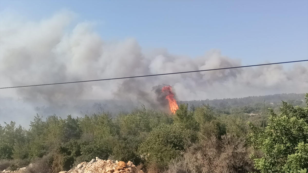 A A 20250726 38665699 38665697 M E R S I N I N S I L I F K E I L C E S I N D E C I K A N O R M A N Y A N G I N I N A M U D A H A L E E D I L I Y O R