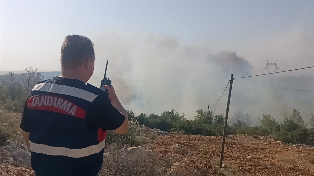 A A 20250726 38665699 38665698 M E R S I N I N S I L I F K E I L C E S I N D E C I K A N O R M A N Y A N G I N I N A M U D A H A L E E D I L I Y O R