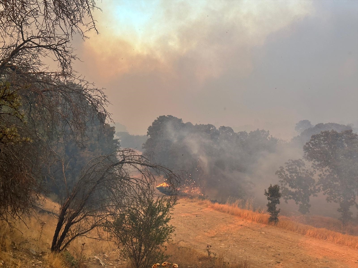 A A 20250726 38672084 38672079 U S A K T A O R M A N Y A N G I N I N A M U D A H A L E E D I L I Y O R