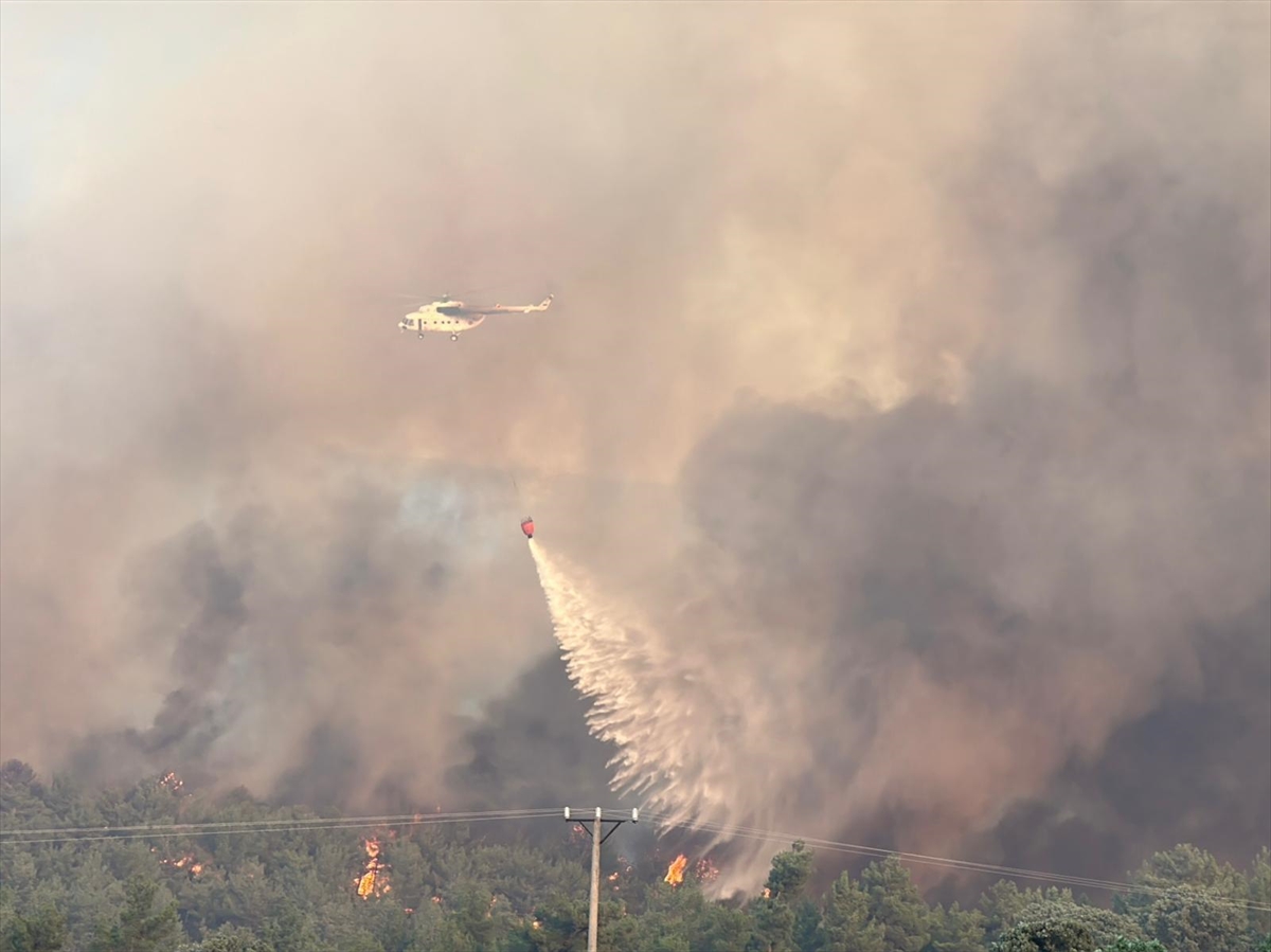 A A 20250726 38672084 38672080 U S A K T A O R M A N Y A N G I N I N A M U D A H A L E E D I L I Y O R