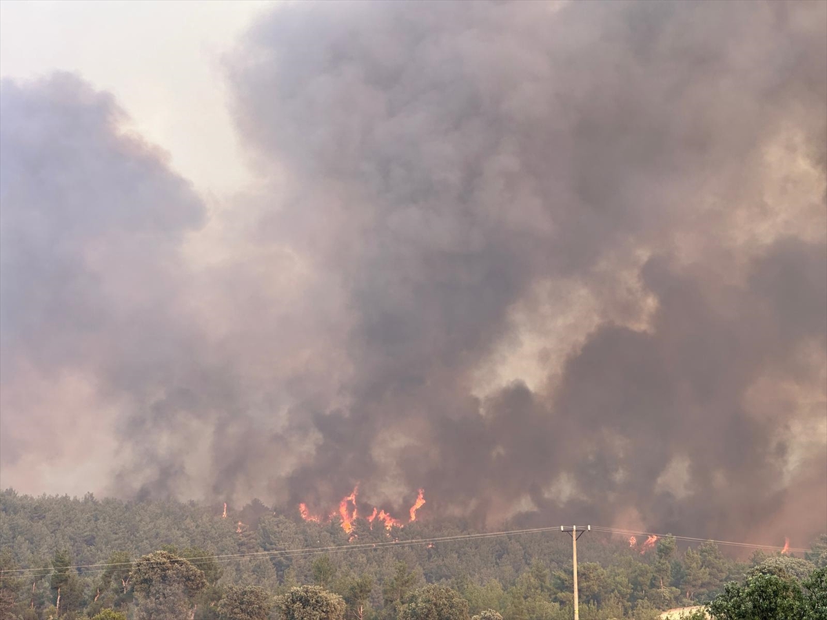 A A 20250726 38672084 38672081 U S A K T A O R M A N Y A N G I N I N A M U D A H A L E E D I L I Y O R