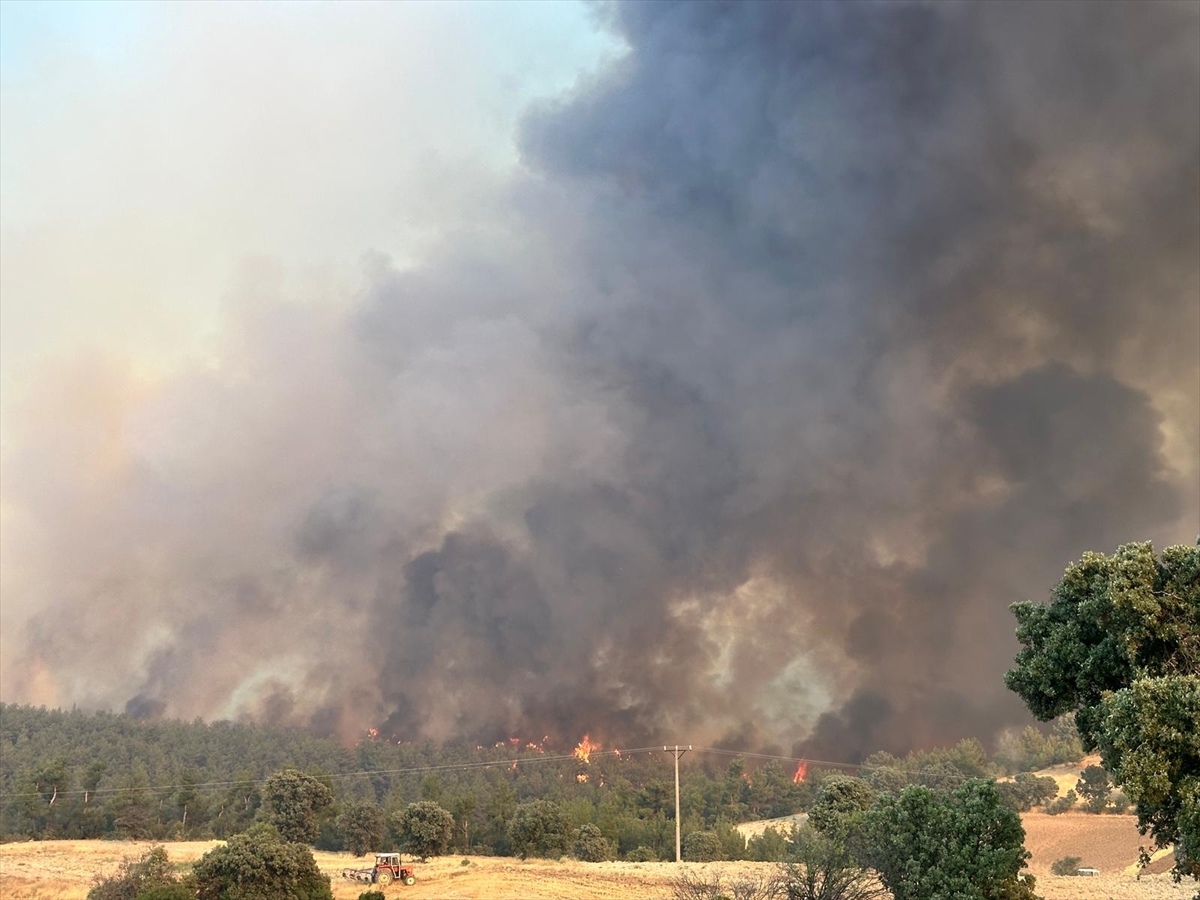 A A 20250726 38672084 38672083 U S A K T A O R M A N Y A N G I N I N A M U D A H A L E E D I L I Y O R