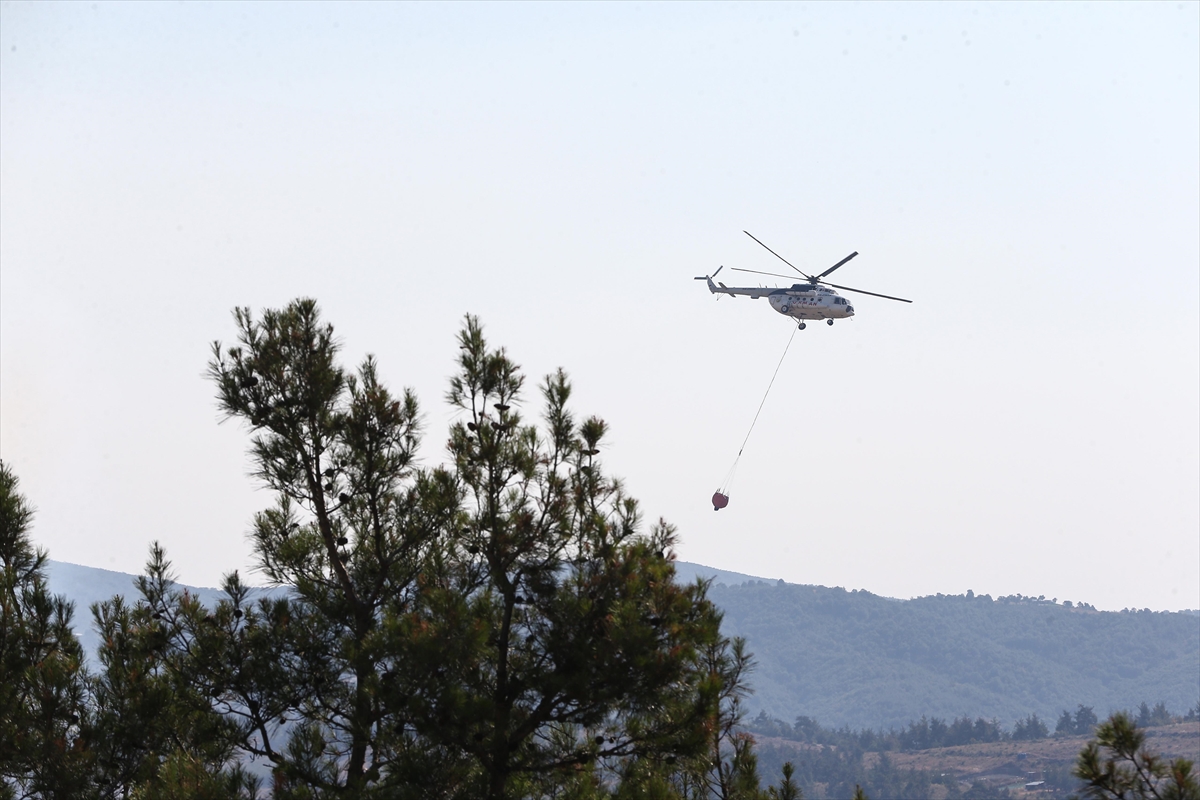 A A 20250727 38675130 38675120 B U R S A D A G U R S U I L E K E S T E L A R A S I N D A K I O R M A N L I K A L A N D A C I K A N Y A N G I N A M U D A H A L E S U R U Y O R