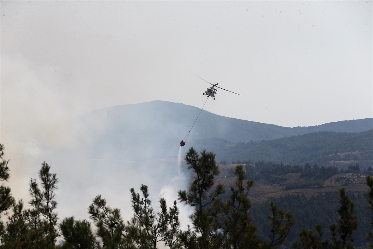 A A 20250727 38675130 38675121 B U R S A D A G U R S U I L E K E S T E L A R A S I N D A K I O R M A N L I K A L A N D A C I K A N Y A N G I N A M U D A H A L E S U R U Y O R