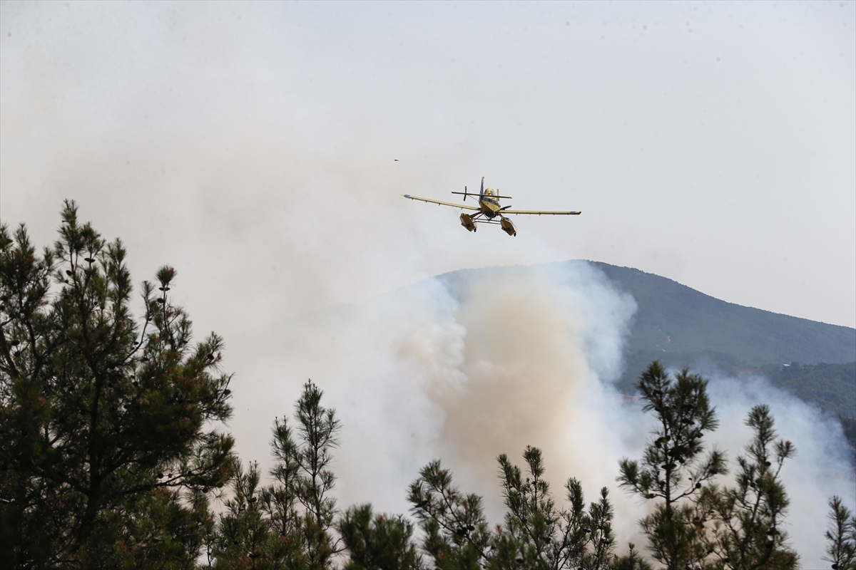 A A 20250727 38675130 38675122 B U R S A D A G U R S U I L E K E S T E L A R A S I N D A K I O R M A N L I K A L A N D A C I K A N Y A N G I N A M U D A H A L E S U R U Y O R