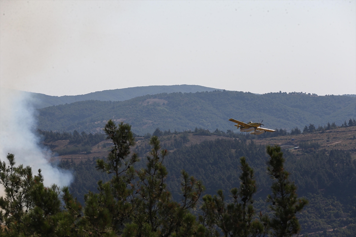 A A 20250727 38675130 38675124 B U R S A D A G U R S U I L E K E S T E L A R A S I N D A K I O R M A N L I K A L A N D A C I K A N Y A N G I N A M U D A H A L E S U R U Y O R