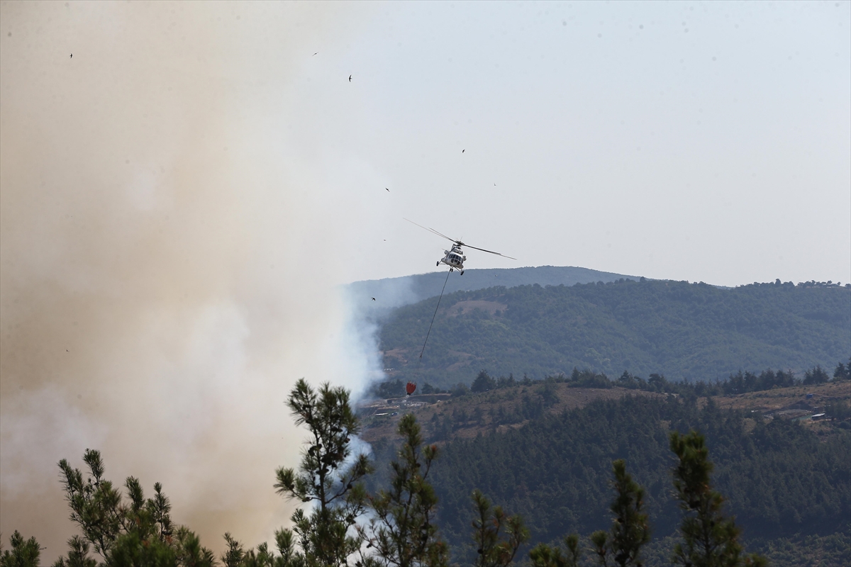 A A 20250727 38675130 38675126 B U R S A D A G U R S U I L E K E S T E L A R A S I N D A K I O R M A N L I K A L A N D A C I K A N Y A N G I N A M U D A H A L E S U R U Y O R