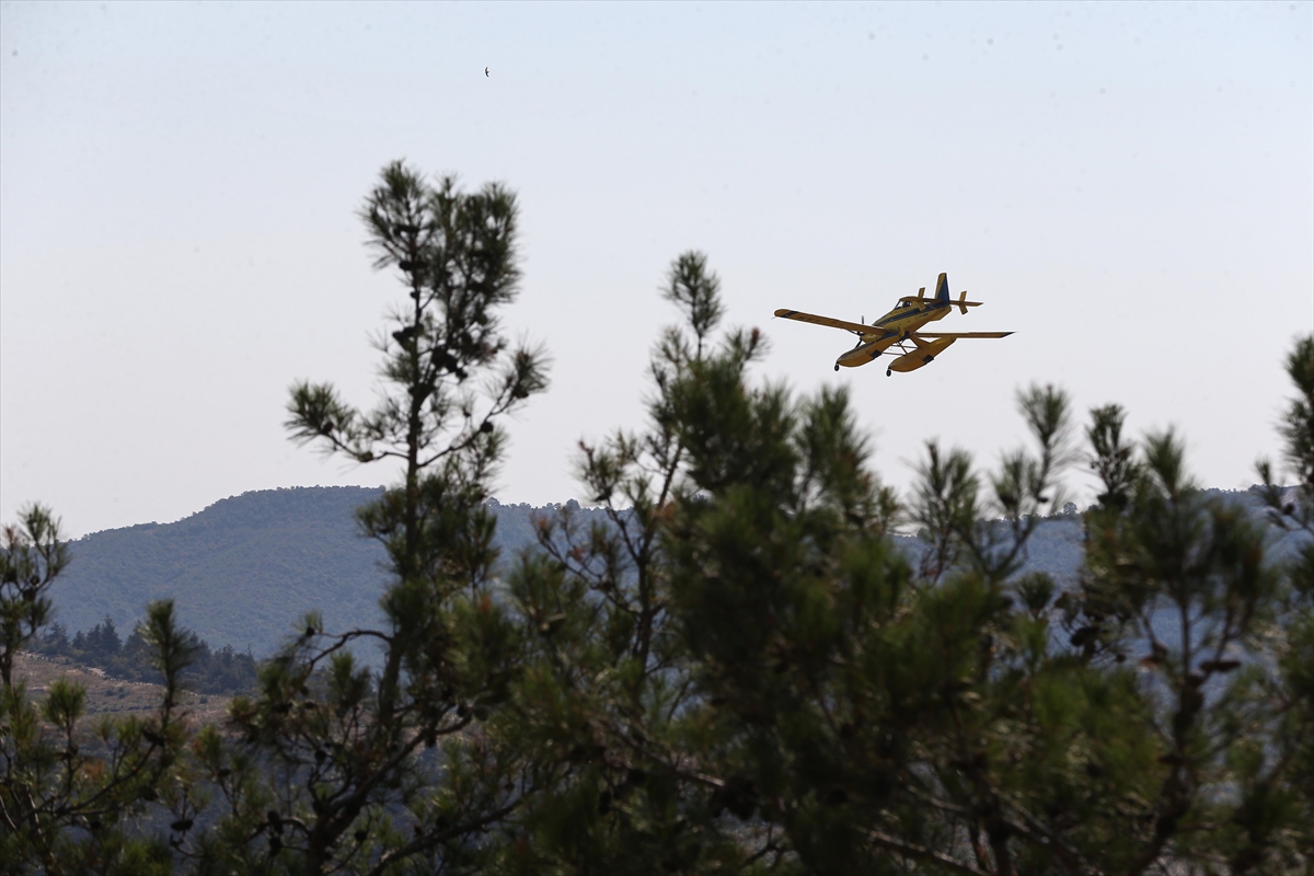 A A 20250727 38675130 38675128 B U R S A D A G U R S U I L E K E S T E L A R A S I N D A K I O R M A N L I K A L A N D A C I K A N Y A N G I N A M U D A H A L E S U R U Y O R