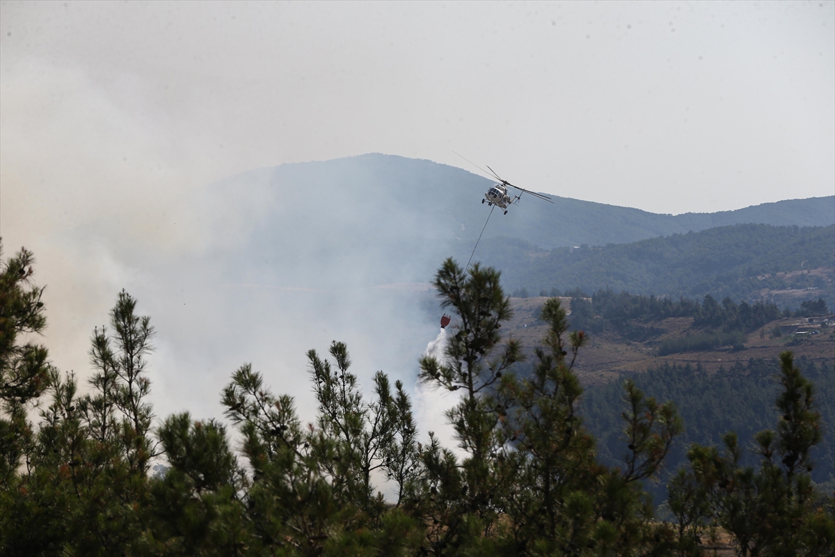 A A 20250727 38675130 38675129 B U R S A D A G U R S U I L E K E S T E L A R A S I N D A K I O R M A N L I K A L A N D A C I K A N Y A N G I N A M U D A H A L E S U R U Y O R