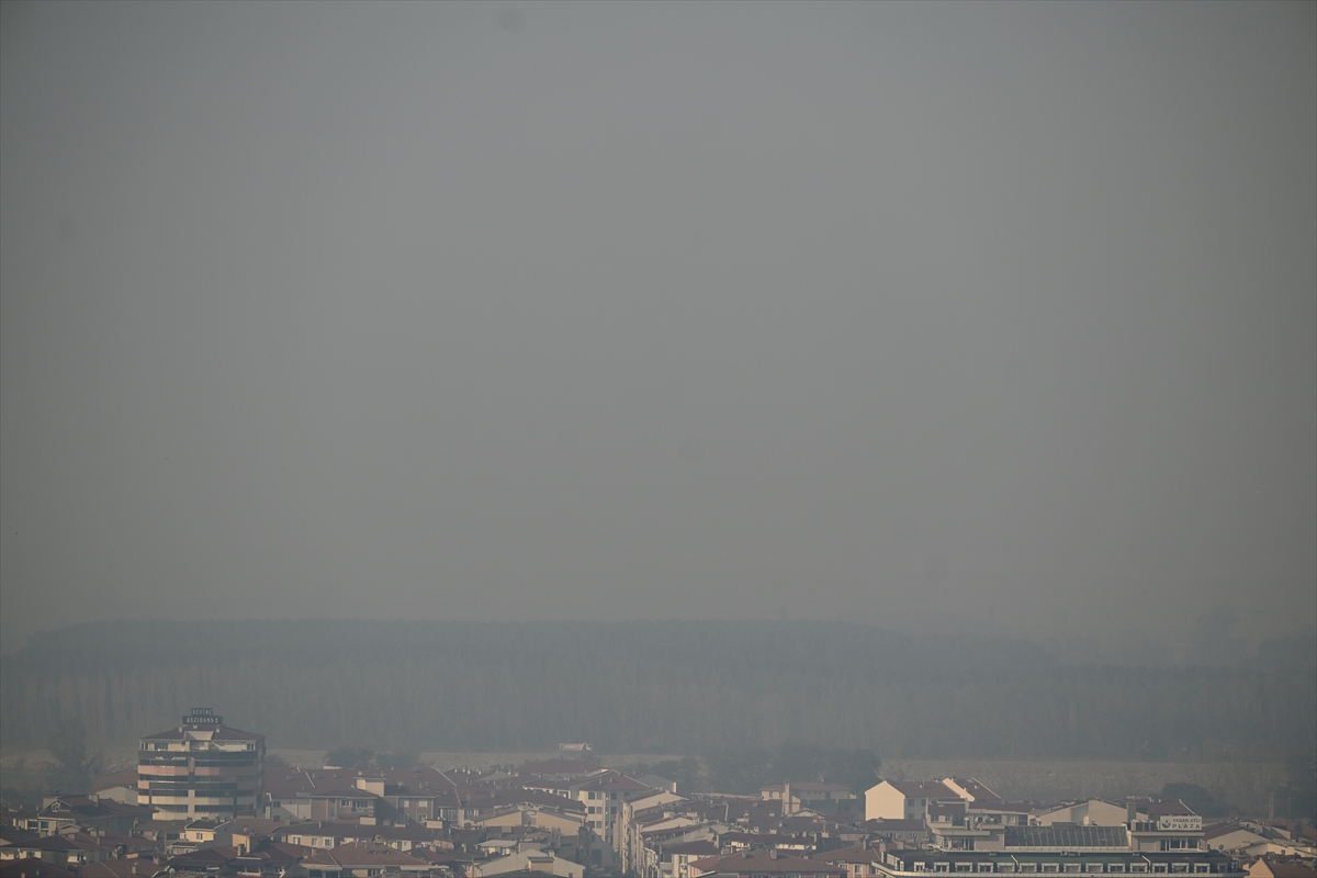 A A 20250727 38675265 38675255 B U L G A R I S T A N D A K I O R M A N Y A N G I N I N I N K O K U V E D U M A N I 50 K I L O M E T R E U Z A K L I K T A K I E D I R N E Y E U L A S T I