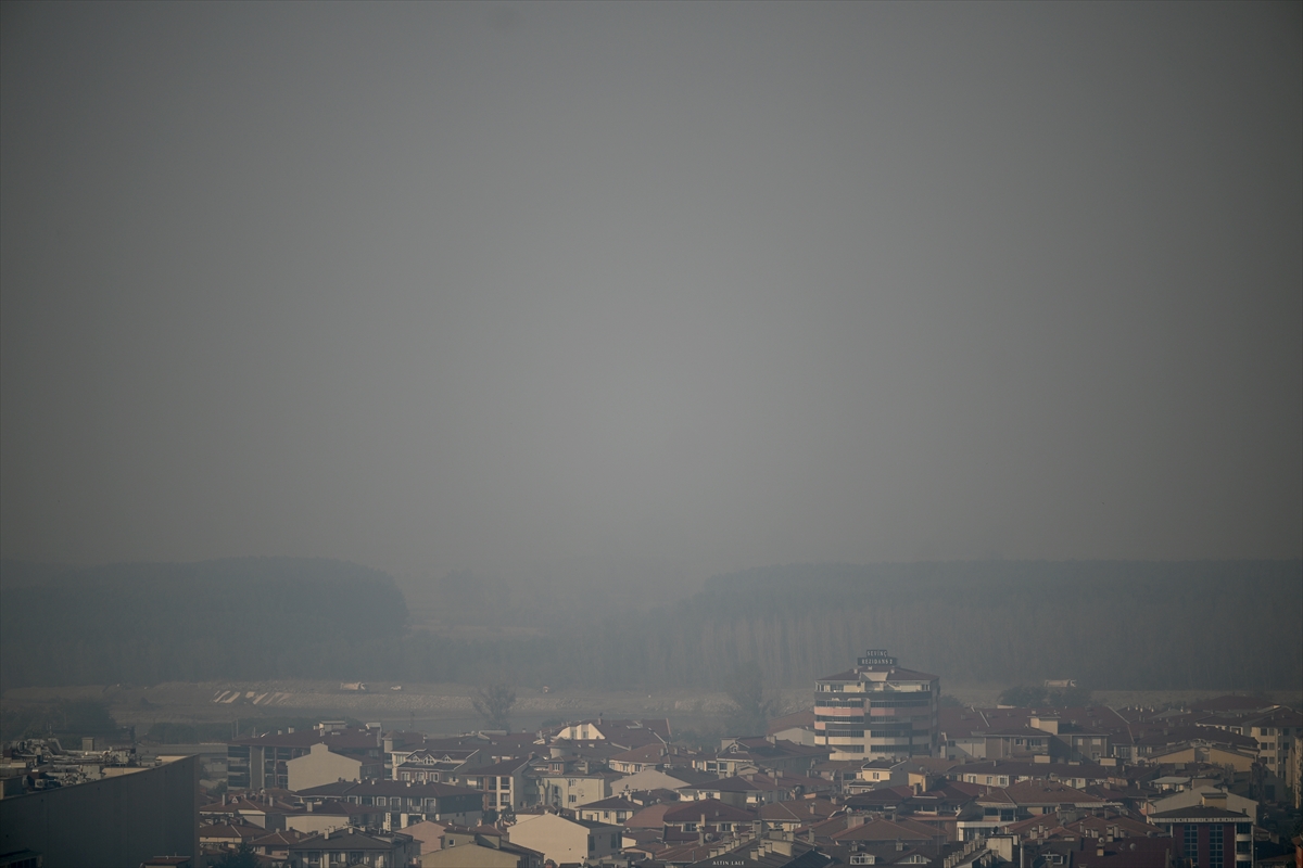 A A 20250727 38675265 38675257 B U L G A R I S T A N D A K I O R M A N Y A N G I N I N I N K O K U V E D U M A N I 50 K I L O M E T R E U Z A K L I K T A K I E D I R N E Y E U L A S T I