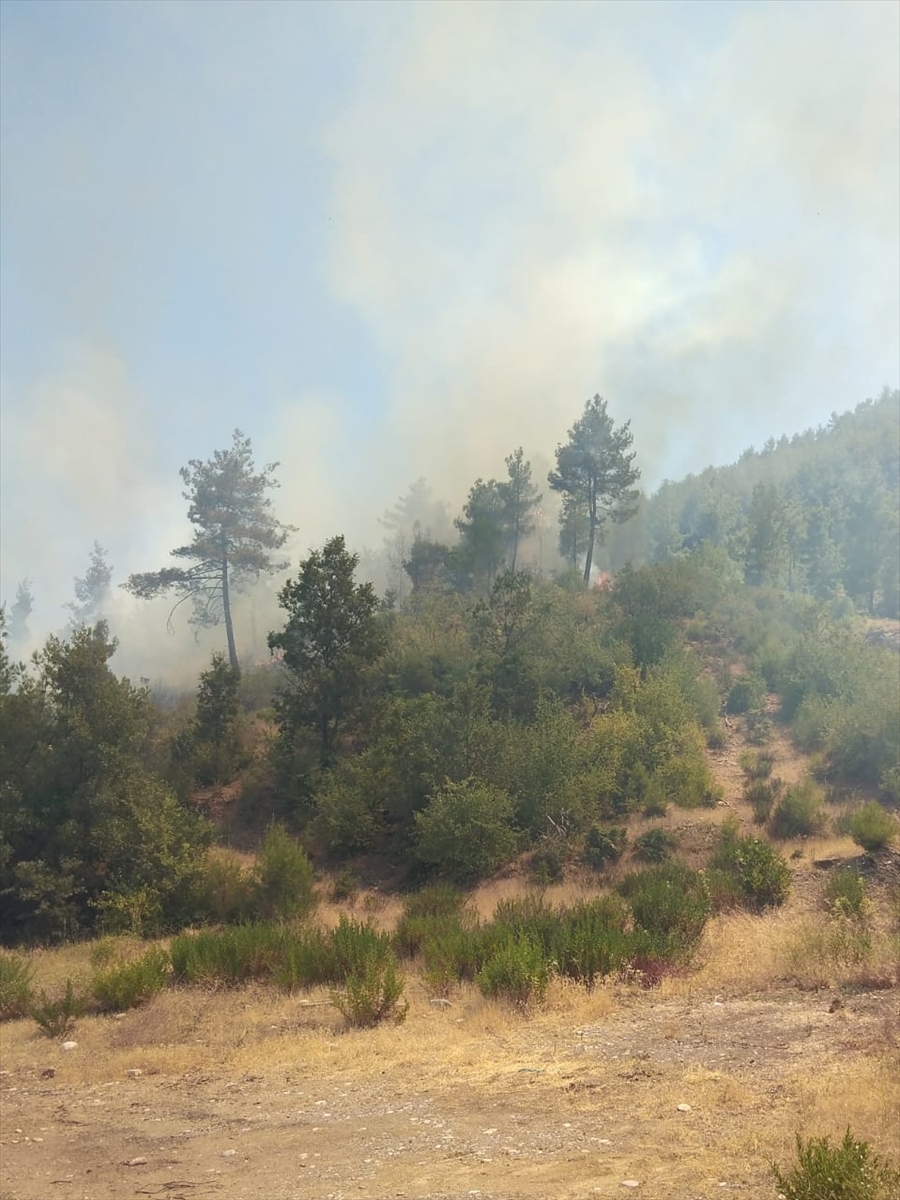 A A 20250727 38678825 38678823 M U G L A D A C I K A N O R M A N Y A N G I N I N A M U D A H A L E E D I L I Y O R