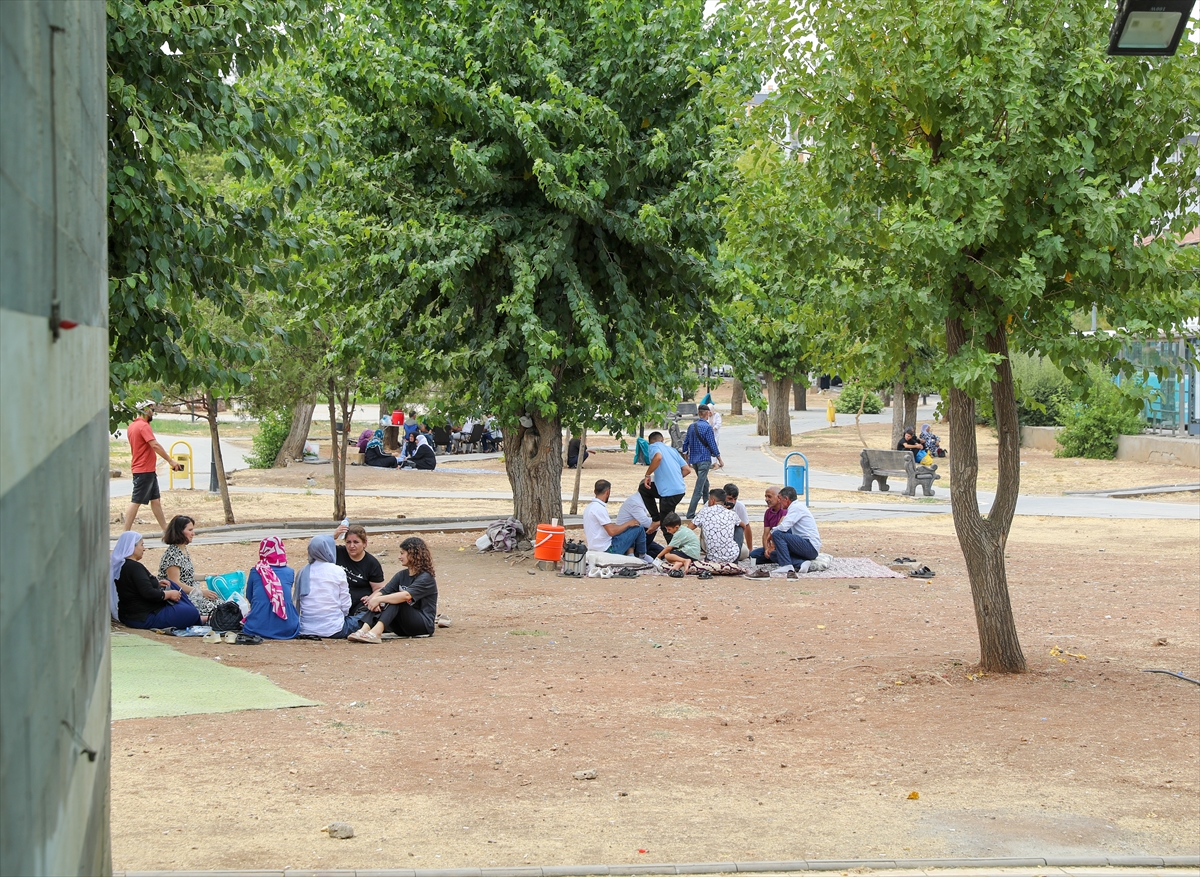 A A 20250729 38696672 38696657 D I Y A R B A K I R D A K A V U R U C U S I C A K L A R H A Y A T I O L U M S U Z E T K I L I Y O R