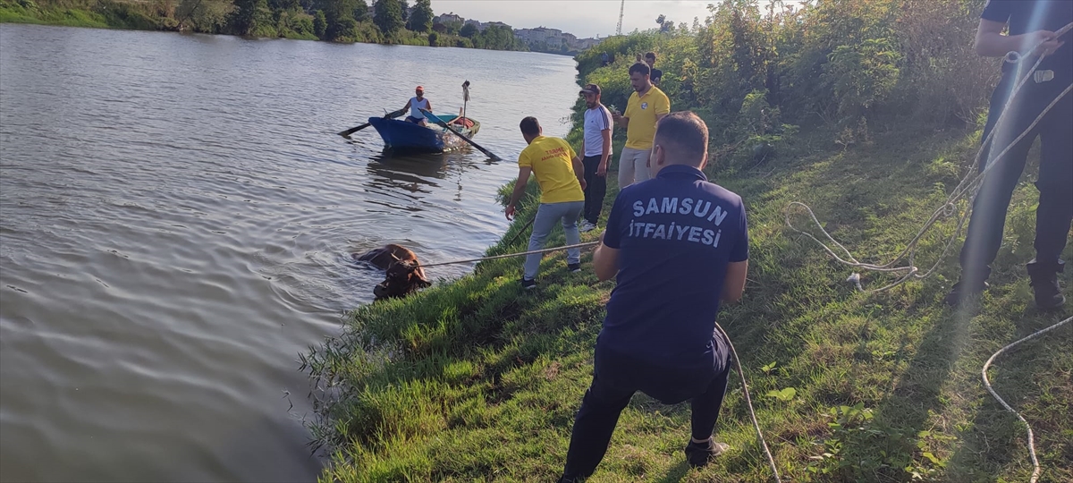 A A 20250729 38699406 38699405 S A M S U N D A I R M A G A D U S E N I N E K E K I P L E R C E K U R T A R I L D I