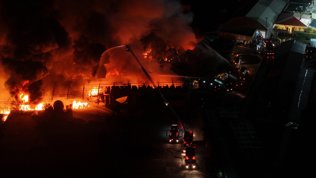 A A 20250729 38700046 38700034 C E K M E K O Y D E S U N G E R F A B R I K A S I N D A C I K A N Y A N G I N A M U D A H A L E E D I L I Y O R