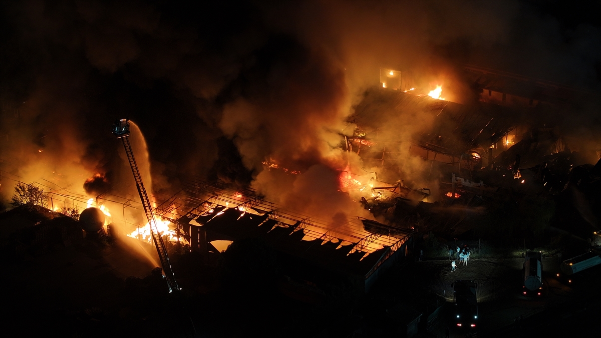 A A 20250729 38700046 38700037 C E K M E K O Y D E S U N G E R F A B R I K A S I N D A C I K A N Y A N G I N A M U D A H A L E E D I L I Y O R