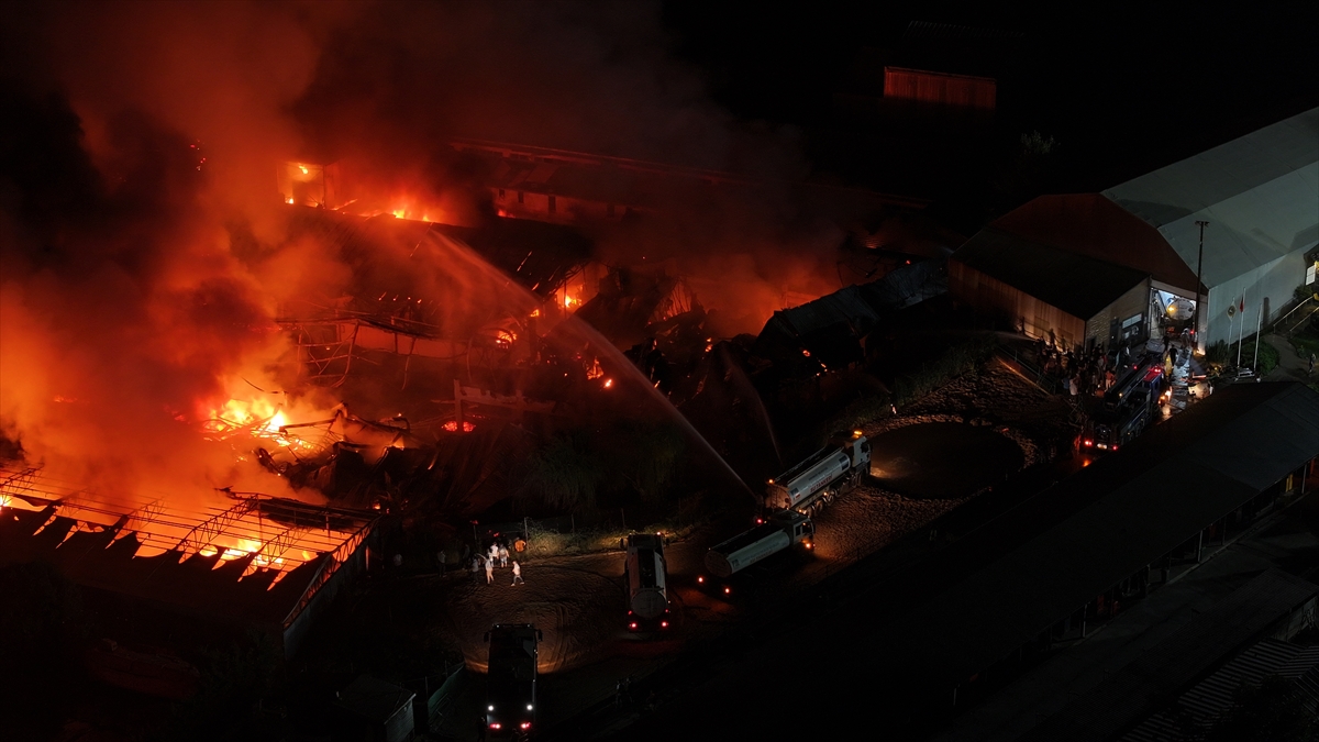 A A 20250729 38700046 38700038 C E K M E K O Y D E S U N G E R F A B R I K A S I N D A C I K A N Y A N G I N A M U D A H A L E E D I L I Y O R