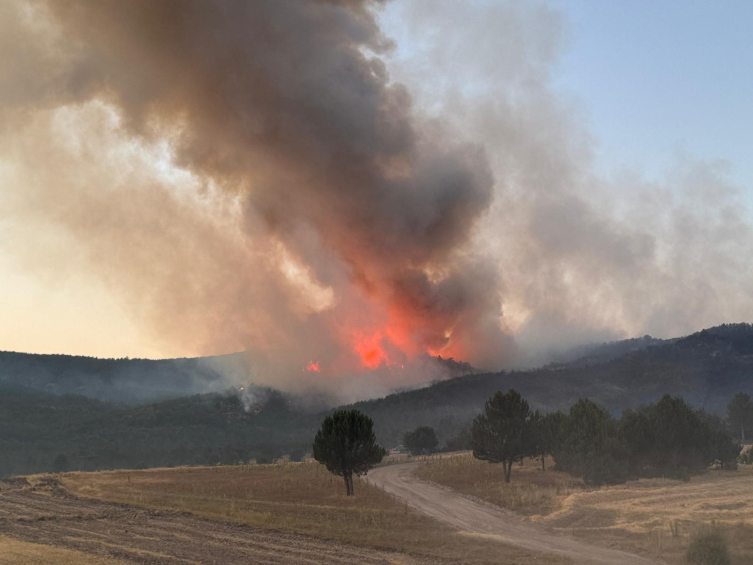 Aa Picture 20250723 38642796