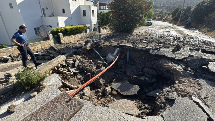 Aa Picture 20250729 38698339