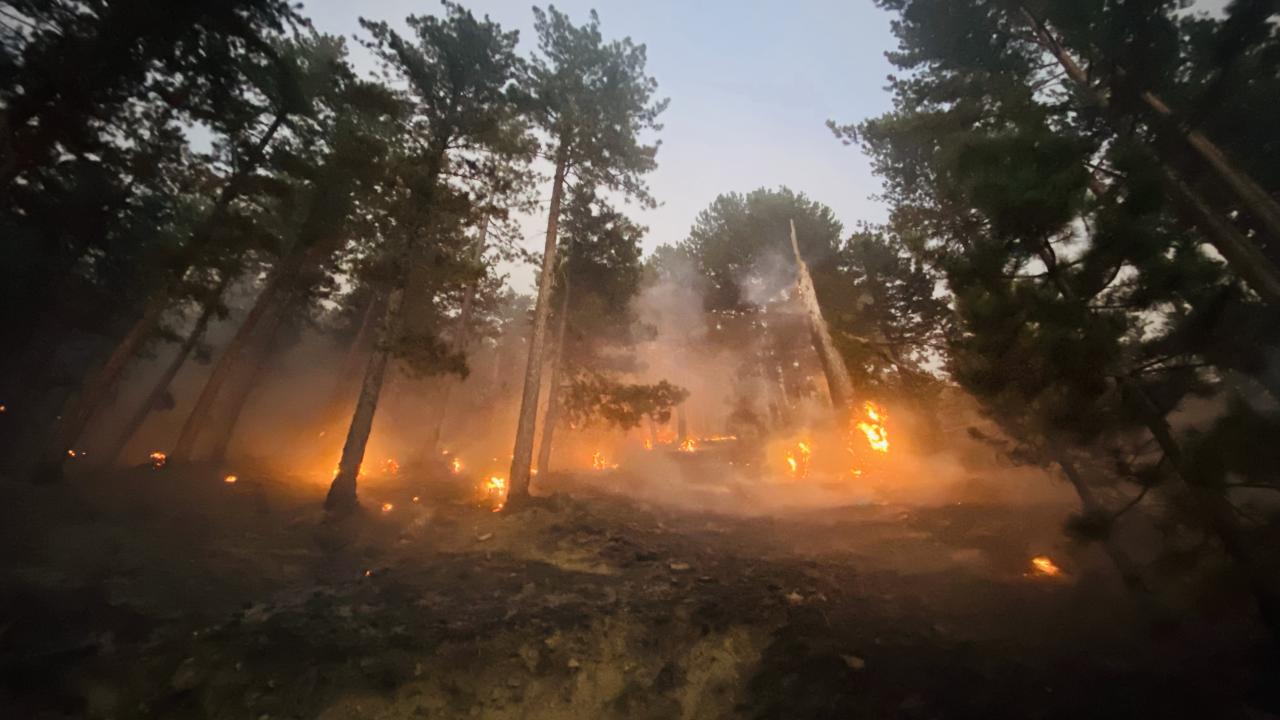 Antalya Orman Yangini Aa 2384046