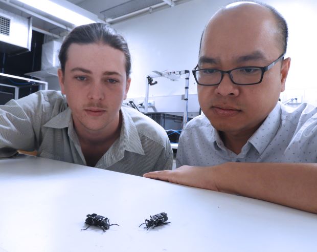 Eait Media Cyborg Beetle Advance Science 3 620