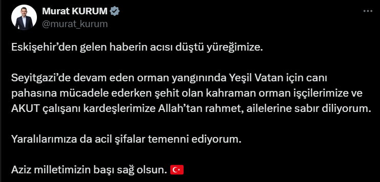 Ekran Görüntüsü 2025 07 23 222647